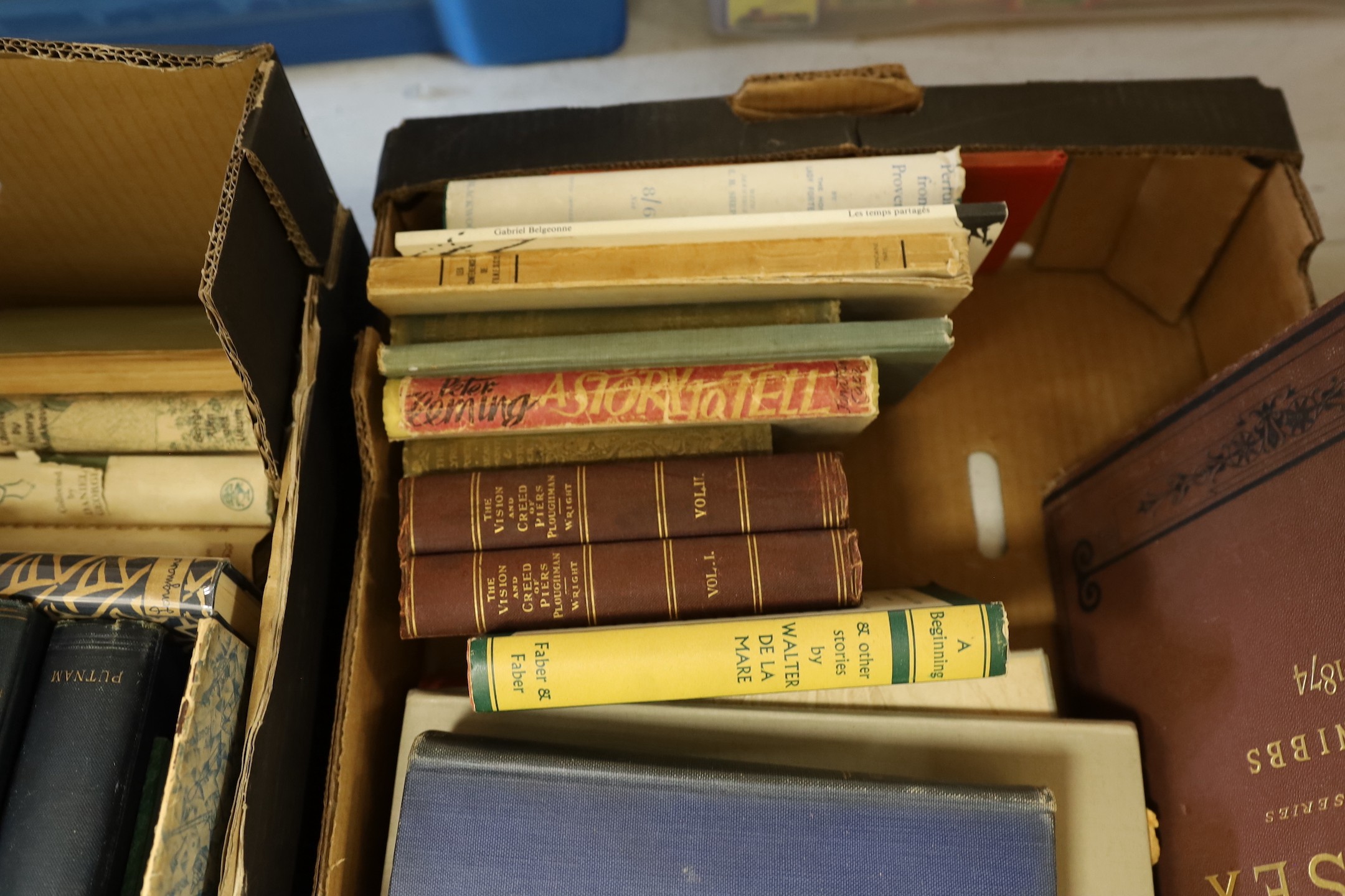 Two boxes of mixed books.